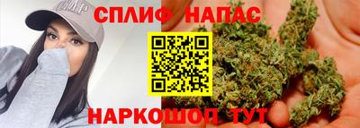 PSILOCYBIN Кизляр