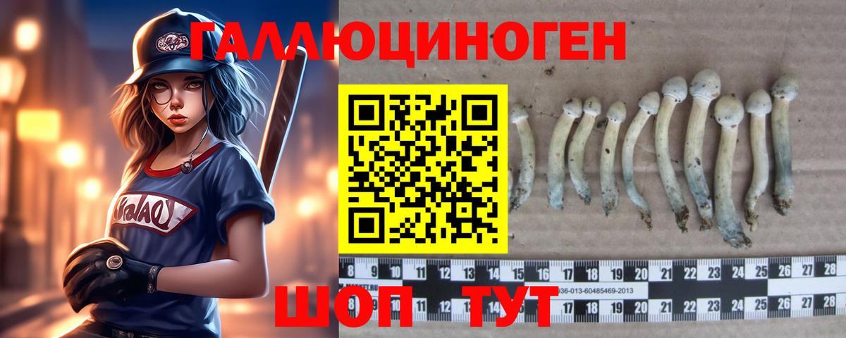 Кохма  Галлюциногенные грибы Psilocybe  Вход с VPN  Галлюциногенные грибы Psilocybe 